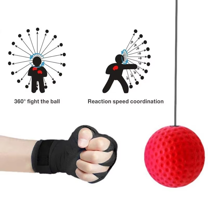 복싱 스피드 볼 헤드 마운트형 PU 펀치 산다 트레이닝 - Sports Equipment Website 리뷰 및 가격